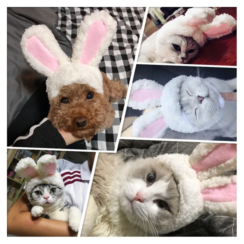 Забавные мультяшные костюмы для собак и кошек, белый кролик с ушами, шапка в форме собаки, котенка, повязка на глаза для косплея, головные уборы