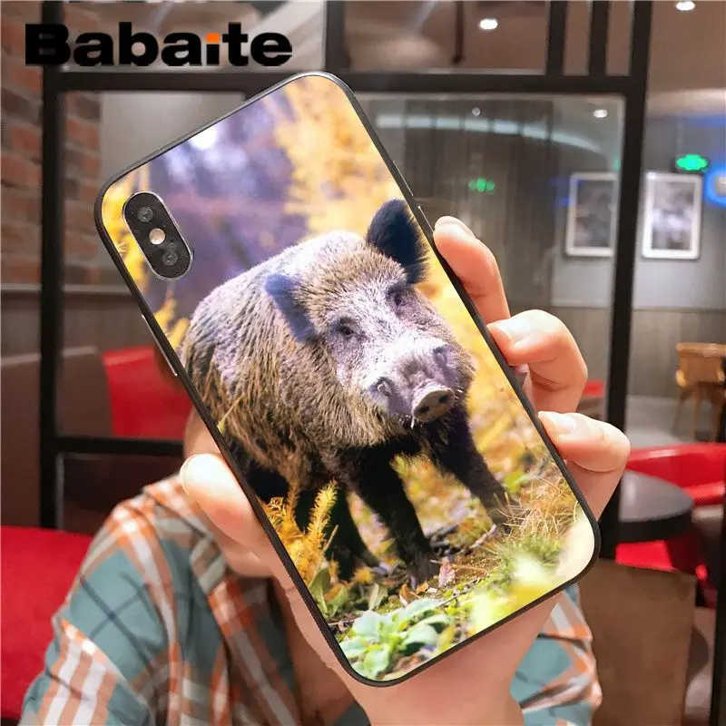 Wild Boar pig animal