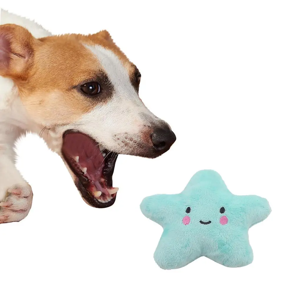 10.5CM new interactive pet cartoon star shape puzzle vocal BB loud sound toy plush cloth dog catnip simulation chew toy FD