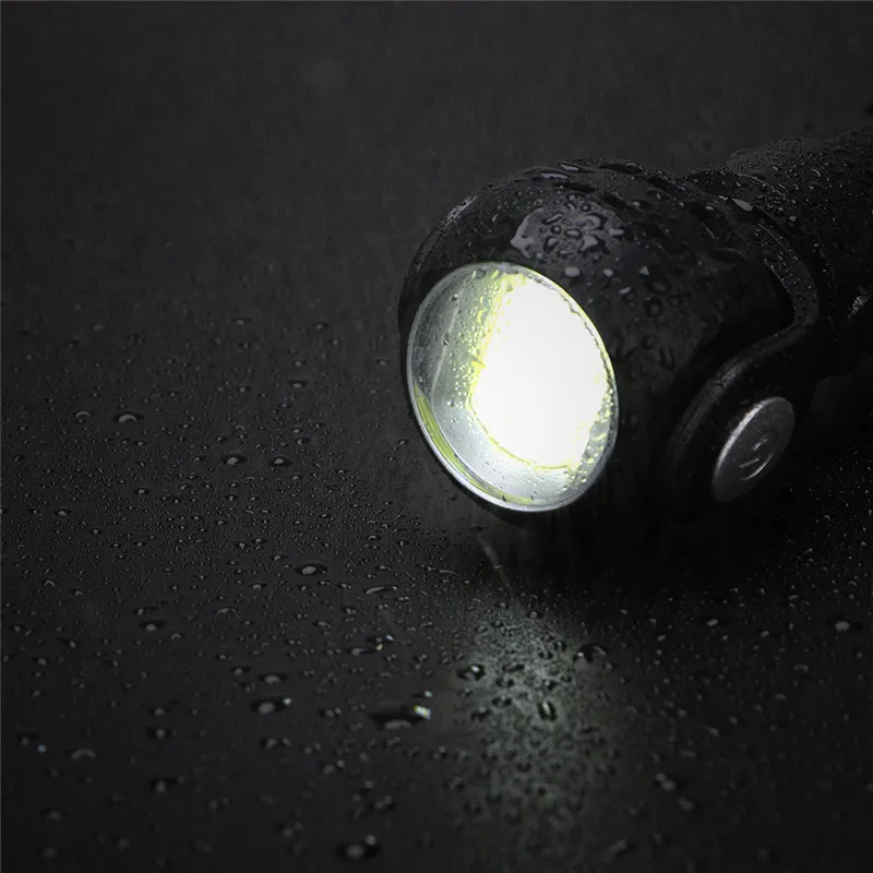 torch (7)