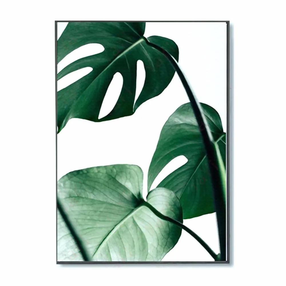 

Nordic Style Canvas Print painting Poster of Green Leaf Monstera Deliciosa Unframed Wall Picture for Home Decoration