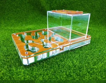

Big Size 194x145x77MM Ant Nest New Ants Farm Acrylic Ant Workshop Insect Cages Granja de hormigas nid fourmis Villa Pet Mania