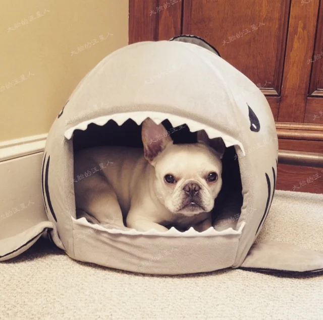 shark dog bed shark dog bed