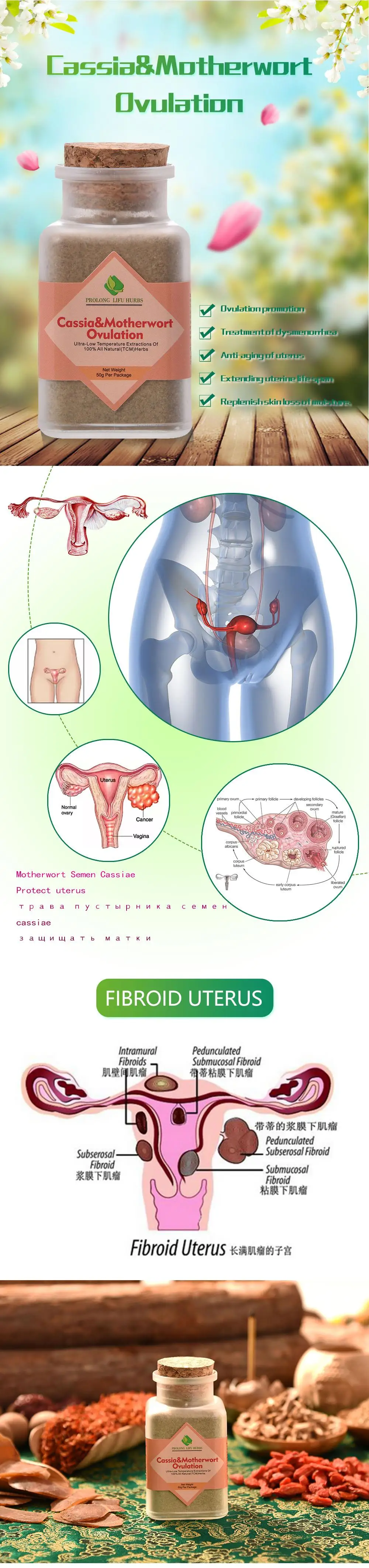 Пролонг лифу Кассия и Motherwort овуляции травы помогают женщинам регулировать овуляцию. Лечение женского бесплодия защита функции женщины