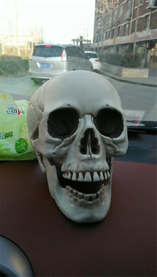 Scary Skeleton Heads Figure Halloween party supply gifts - Buyers Show 8