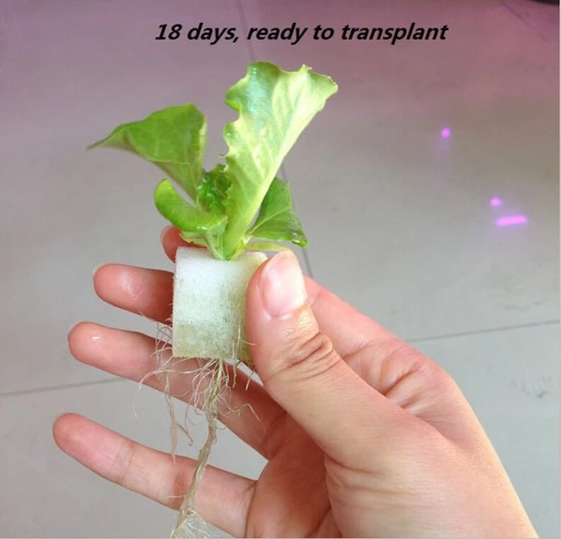 Nursery Pots hydroponic vegetables seeds foam cubes pot for starting seed hydroponics system 384pcs/lot free shipping | - Цена: 