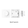 Wall switch