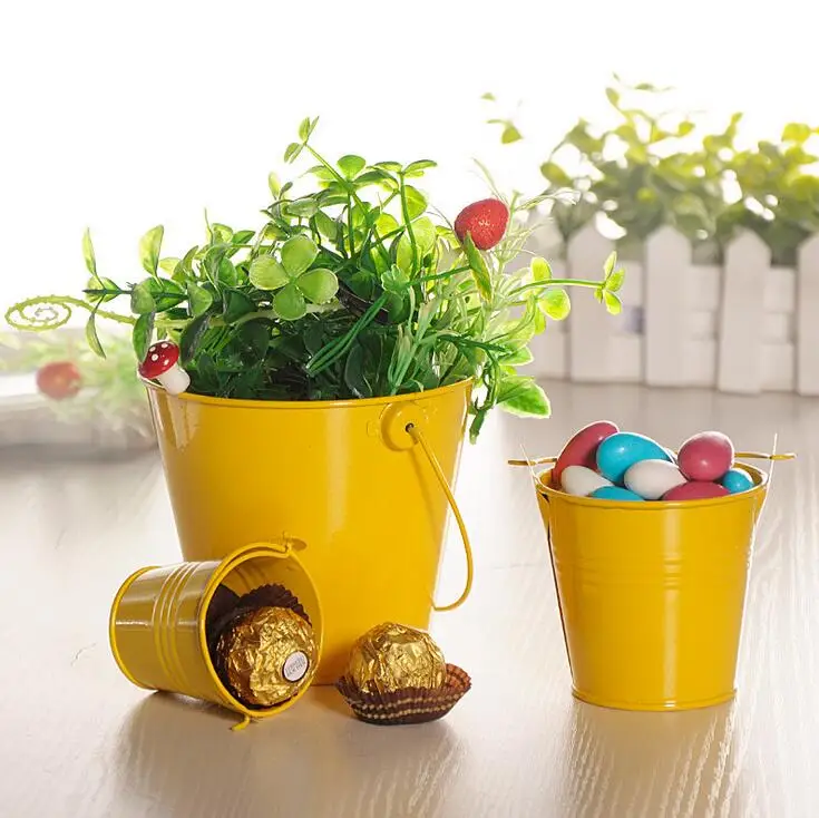 5 шт. Мини Милая шоколадная ведра для конфет Свадебная вечеринка Сувениры DIY мясистое растение цветы Оловянная коробка для Babyshow