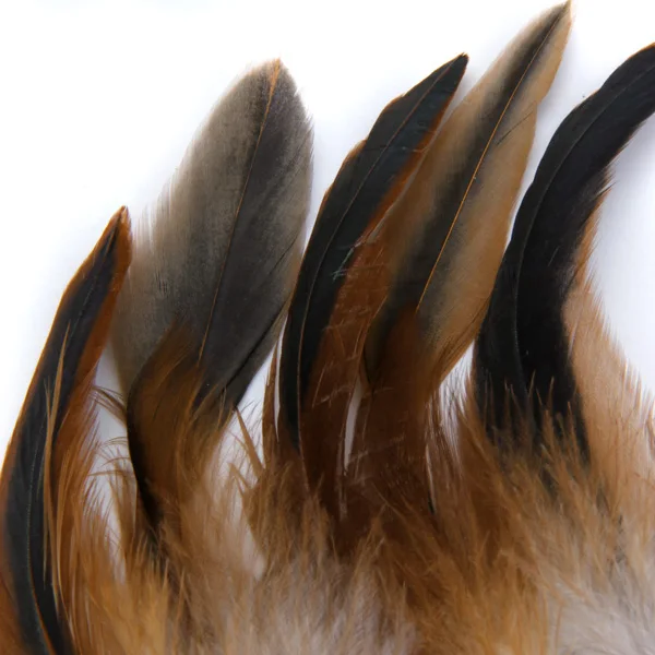 50PCS Natural Decoration Cock  Feather Idea For Costumes, Hats, Home