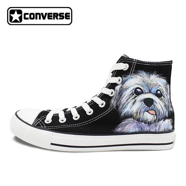 converse chien converse chien