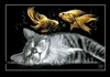 Black cat dreams cross stitch package sets aida 18ct 14ct 11ct black cloth people kit embroidery DIY handmade needlework ► Photo 3/3