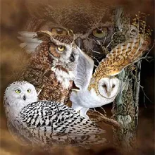 Full 3D Diamond Embroidery Cross Stitch Three Owl DIY Full Square Stick Drill Drawing Resin Diamond Painting Rhinestone bowknot owl print draw diamond drawing