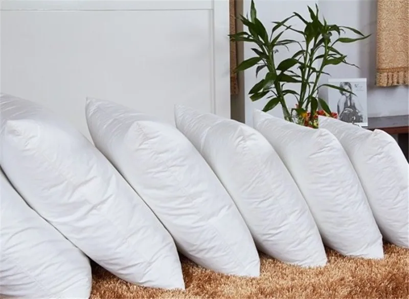 pillow core06