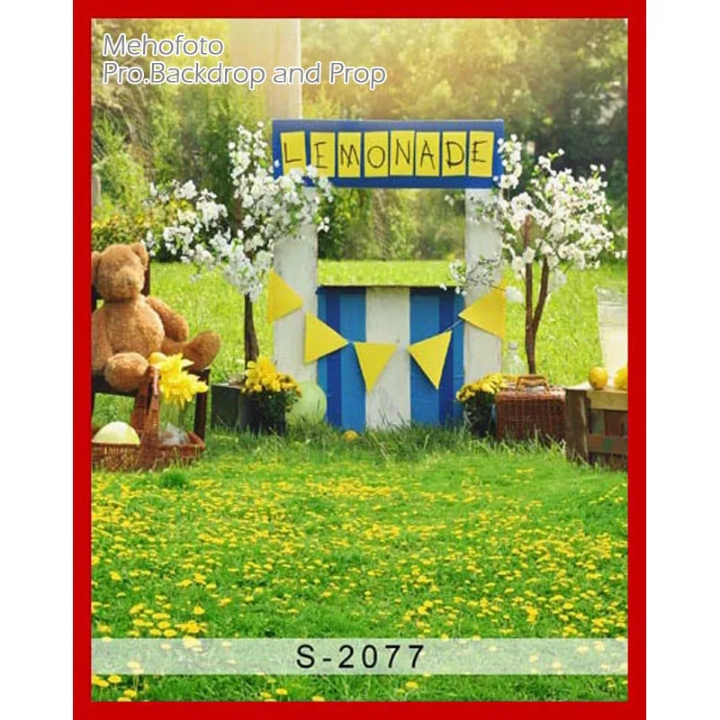 

Vinyl Photography Backdrop Computer Printed Newborn Toy Beer Lemonade Children Backgrounds for Photo Studio S-2077