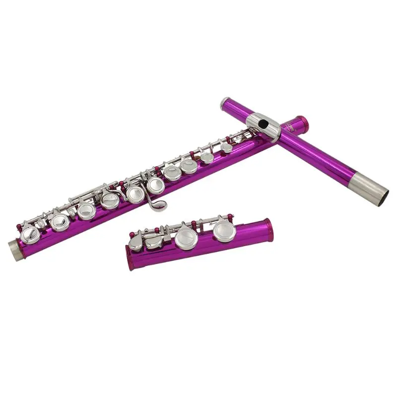 

Flute 16 Holes C Key Woodwind Instrument with Gloves Mini Screwdriver Padded Case