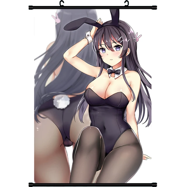  ROUNDMEUP Rascal Does Not Dream of Bunny Girl Senpai (Seishun  Buta Yarou wa Bunny Girl Senpai no Yume wo Minai) Anime Fabric Wall Scroll  Poster (32x45) Inches [A] Rascal Does Not