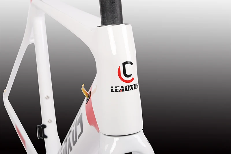 Clearance Leadxus 2019 Newest Disc Brakes Carbon Road Bike Frame T800 Thru Axle Disc Brake Carbon Fiber Bicycle Frame Xs/s/m/l/xl 10 Clearance Leadxus 2019 Newest Disc Brakes Carbon Road Bike Frame T800 Thru Axle Disc Brake Carbon Fiber Bicycle Frame Xs/s/m/l/xl 10