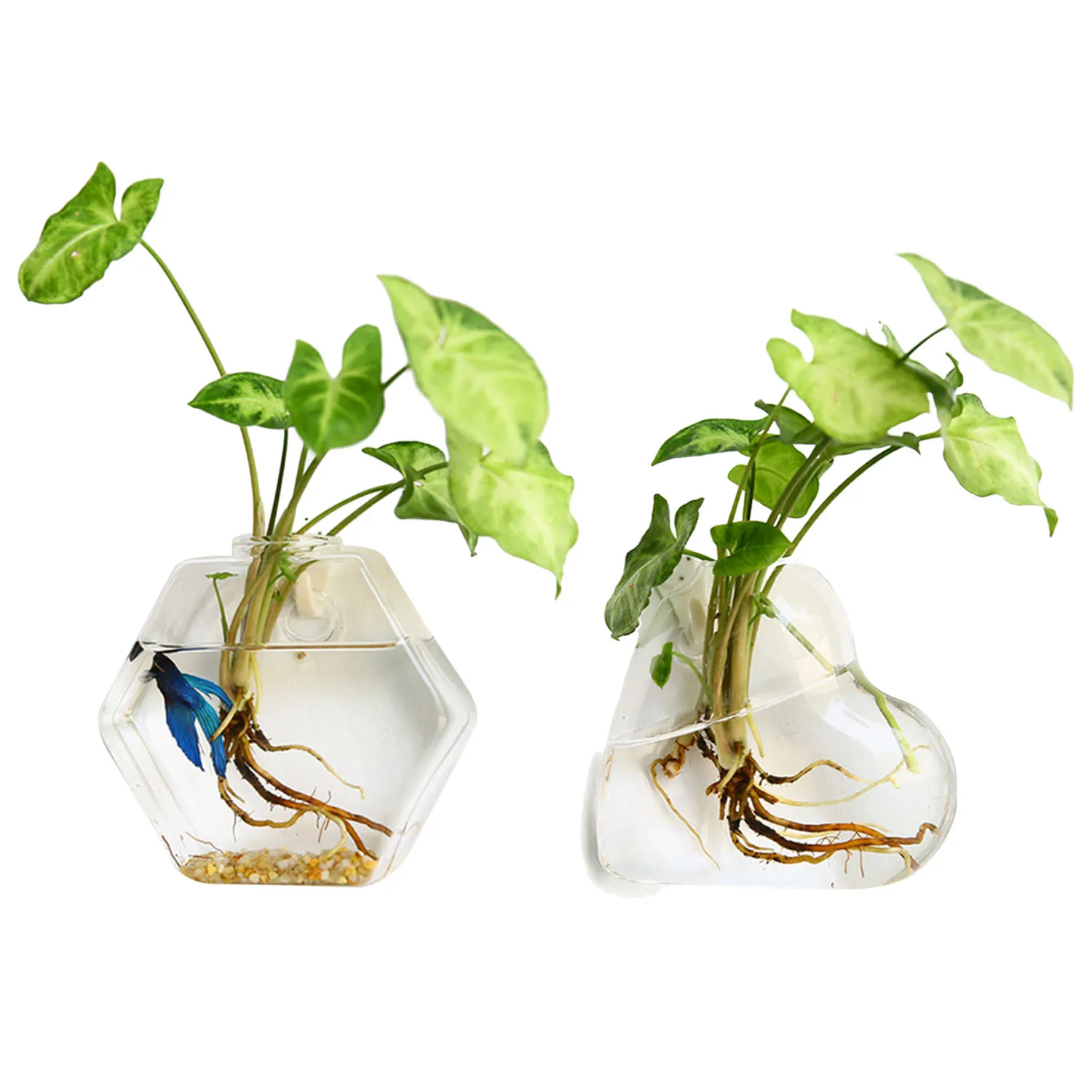 Acrilico Fish Tank Bowl Montado En La Pared Fish Tank Colgando