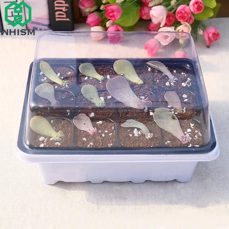 

WHISM Plastic Nursery Pots Plant Seeds Germination Tray Hydroponic Grow Box Flower Pot Seedling Tray Succulent Planter with Lids