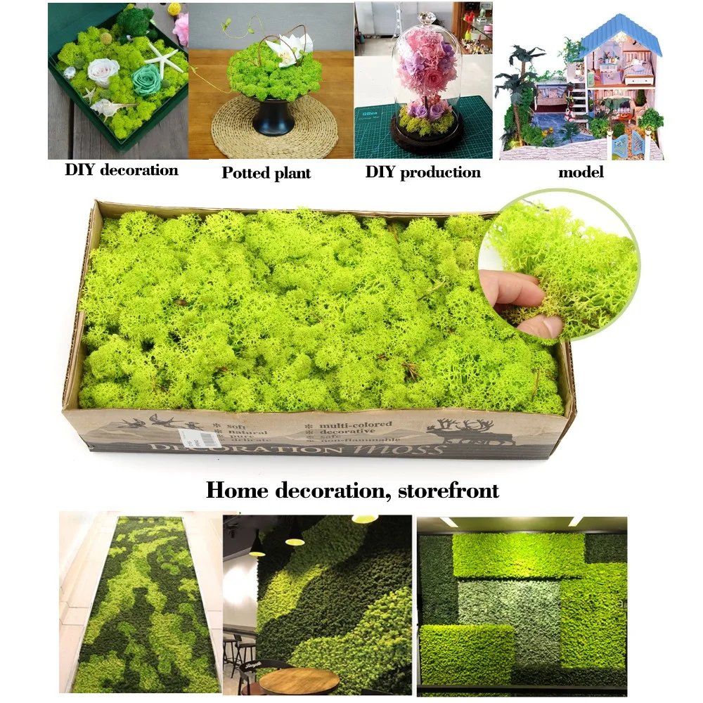 500 г натурального норвежской Ягель сохранить высушенный гриб ремесло Flowerfor цветы