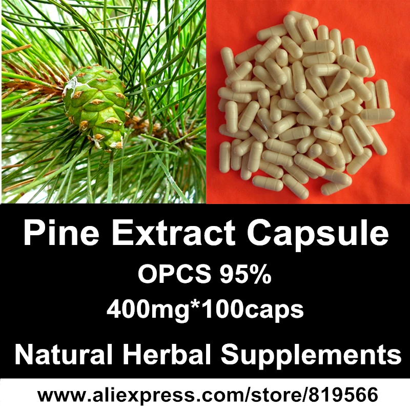 

Pine Needles Extract Powder Capsules Pine Tree Extract Caps Natural Herbal Nutrition OPCS Dietary Supplements