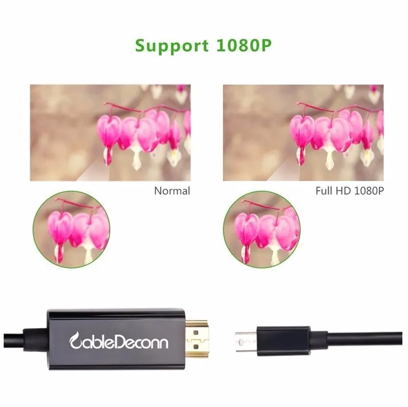 B0308 (7)