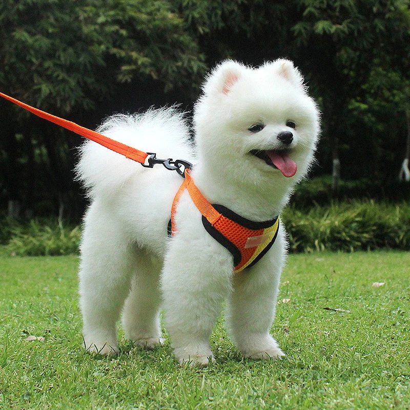 

Soft Mesh Dog Cat Harness Set Breathable Puppy Vest For Small pet Medium Dogs Yorkie Teddy Reflective Walking Lead Leash sets