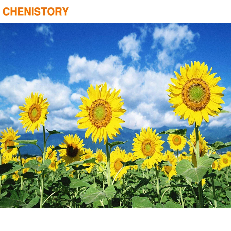 

CHENISTORY 60X75cm Frame Sunflowers DIY Painting By Numbers Wall Art Picture By Numbers Acrylic Paint On Canvas For Home Gift