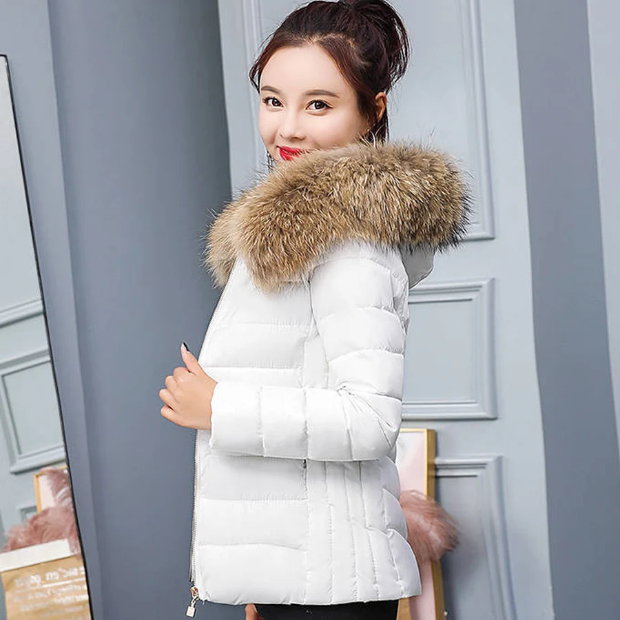 Abrigos mujer invierno 2019 Plus size 4XL sustans cotton zipper hooded short winter jacket women warm parkas coat