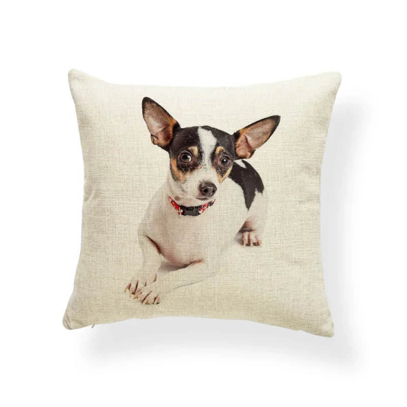 AB5398 (1)