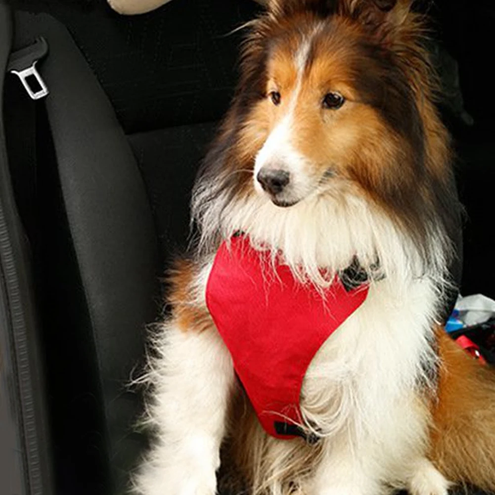 Регулируемая спортивная Светоотражающая собачья упряжь для средних и больших