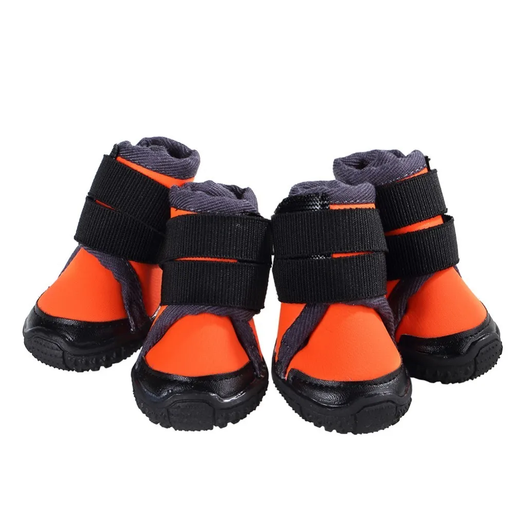 puppy sneakers