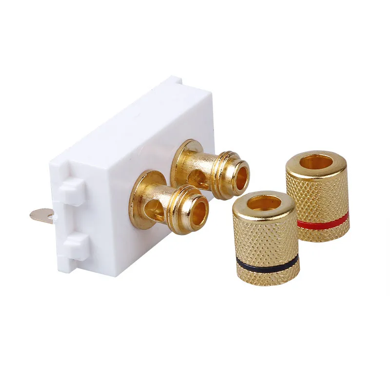 

1PC YT1576 Electrical Sockets Speaker module Audio panel Banana plug Power amplifier wall plug Audio clip Free Shipping