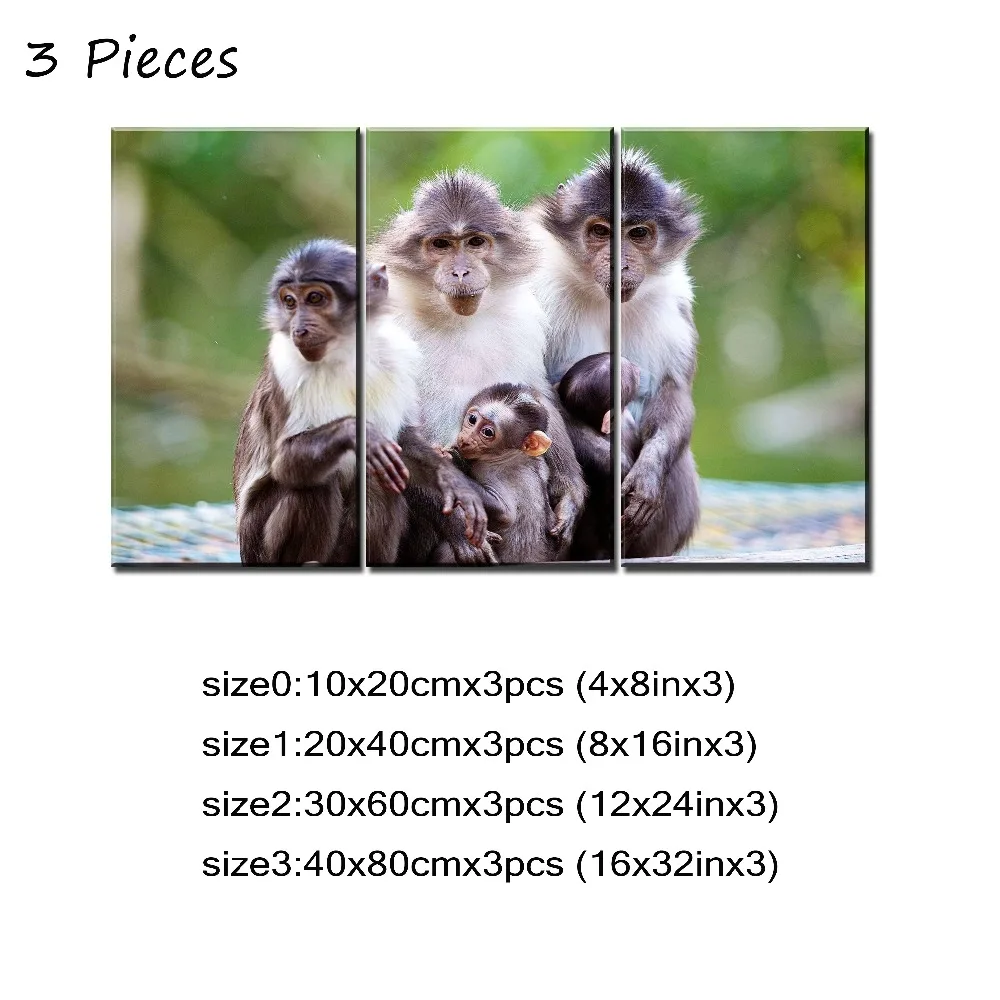 3P- 