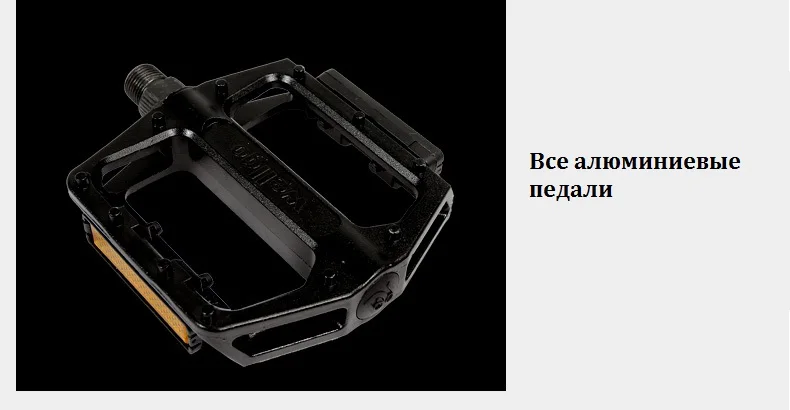 electric snow bike (5)