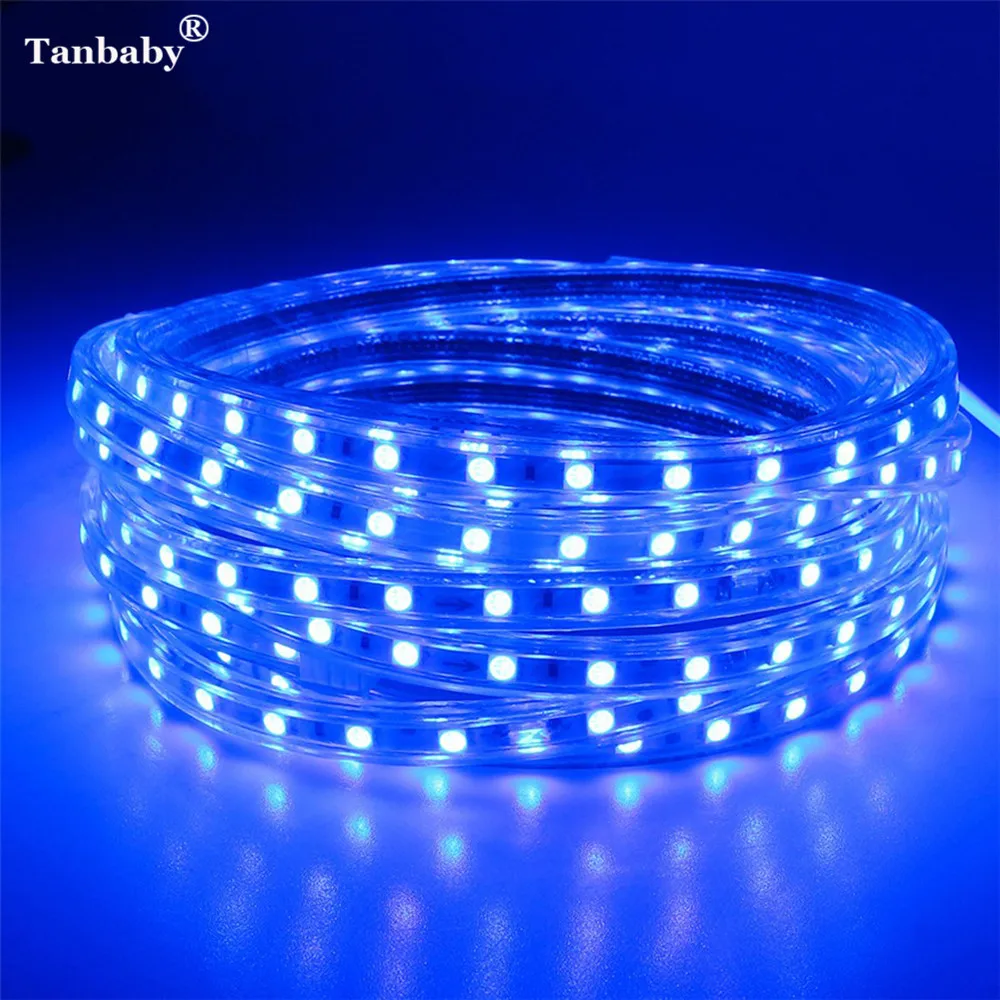 #cheap LED Strip Light Flexible waterproof IP67 220V 60leds m 5050 five colors Suitable for garden outdoor Wall Roof livingroom holiday