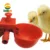 10Set Chicken Waterer Hens Quail Birds Drinking Bowls Water for Chicken Coop Chick Nipple Drinkers Poultry Farm Animal Supplies 1