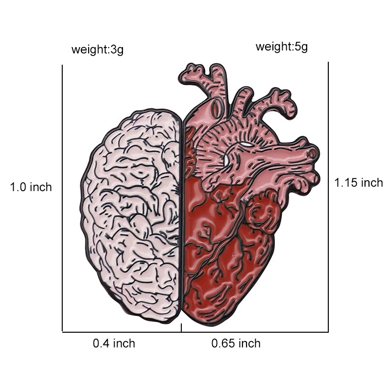 Qihe ювелирные изделия, эмалированные значки на булавке в форме сердца и мозга, булавка на лацкане в виде человеческого сердца, брошь в виде мозга, анатомическое искусство, ювелирные изделия, медицинский анатомический подарок