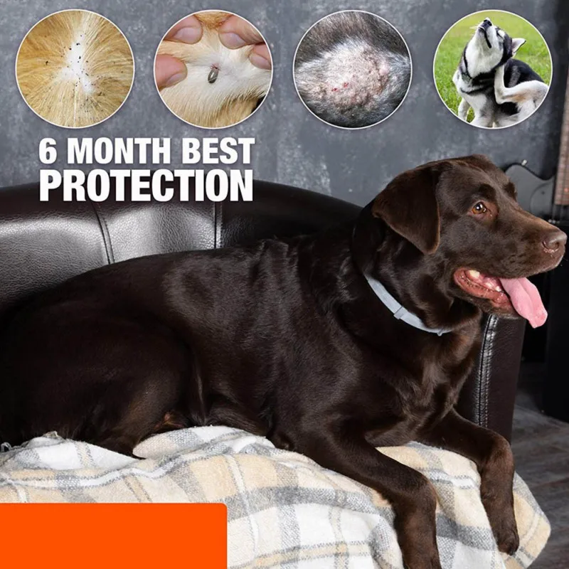 

Pet Dog Natural Essential Oils Scent Mites Mosquito Repellent Collar For Dog Neck Flea Tick Treatment Prevention Pest Control