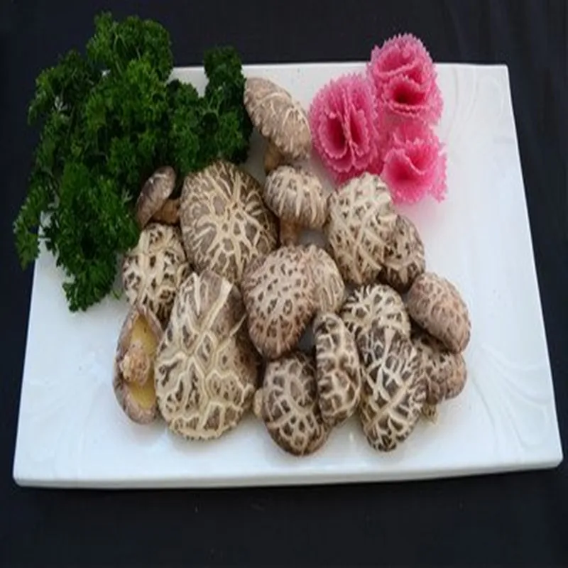 Дикий органический, высушенный грибы, сушеные грибы для предотвращения заболеваний, сушеные грибы, натуральные продукты здоровья, замедляющий старение