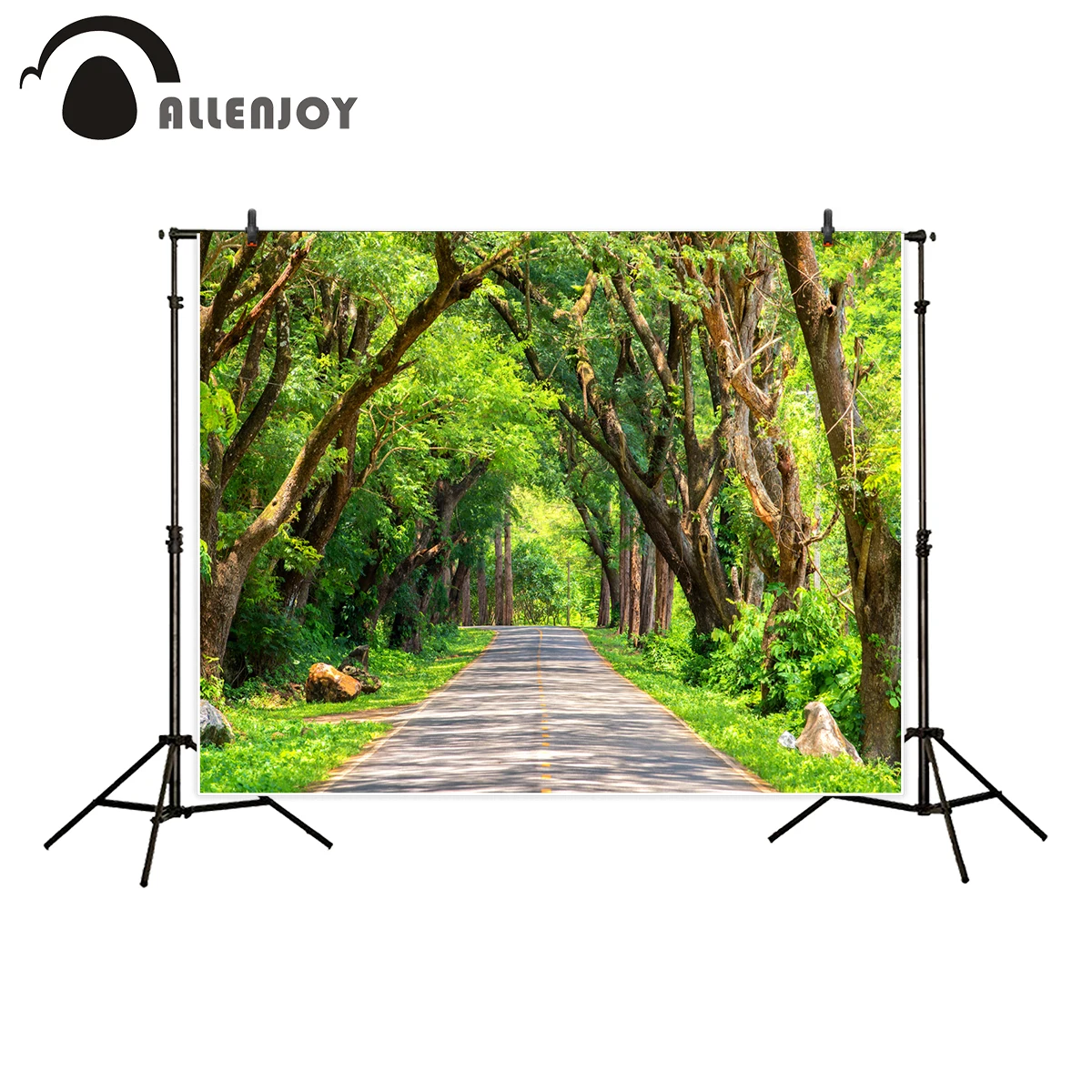 Allenjoy профессиональные фотографии фоном Красивая дорога в глубокий зеленый лес