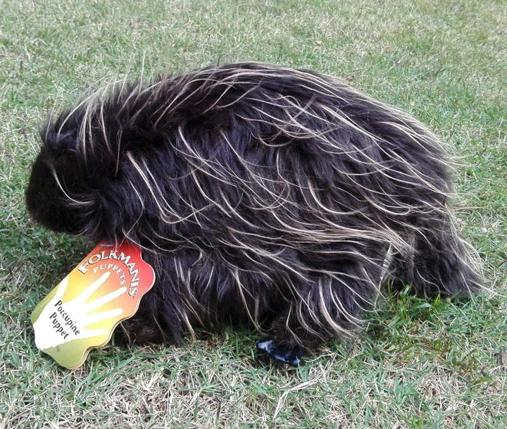 porcupine doll