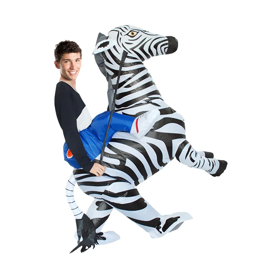 zebra-(3)