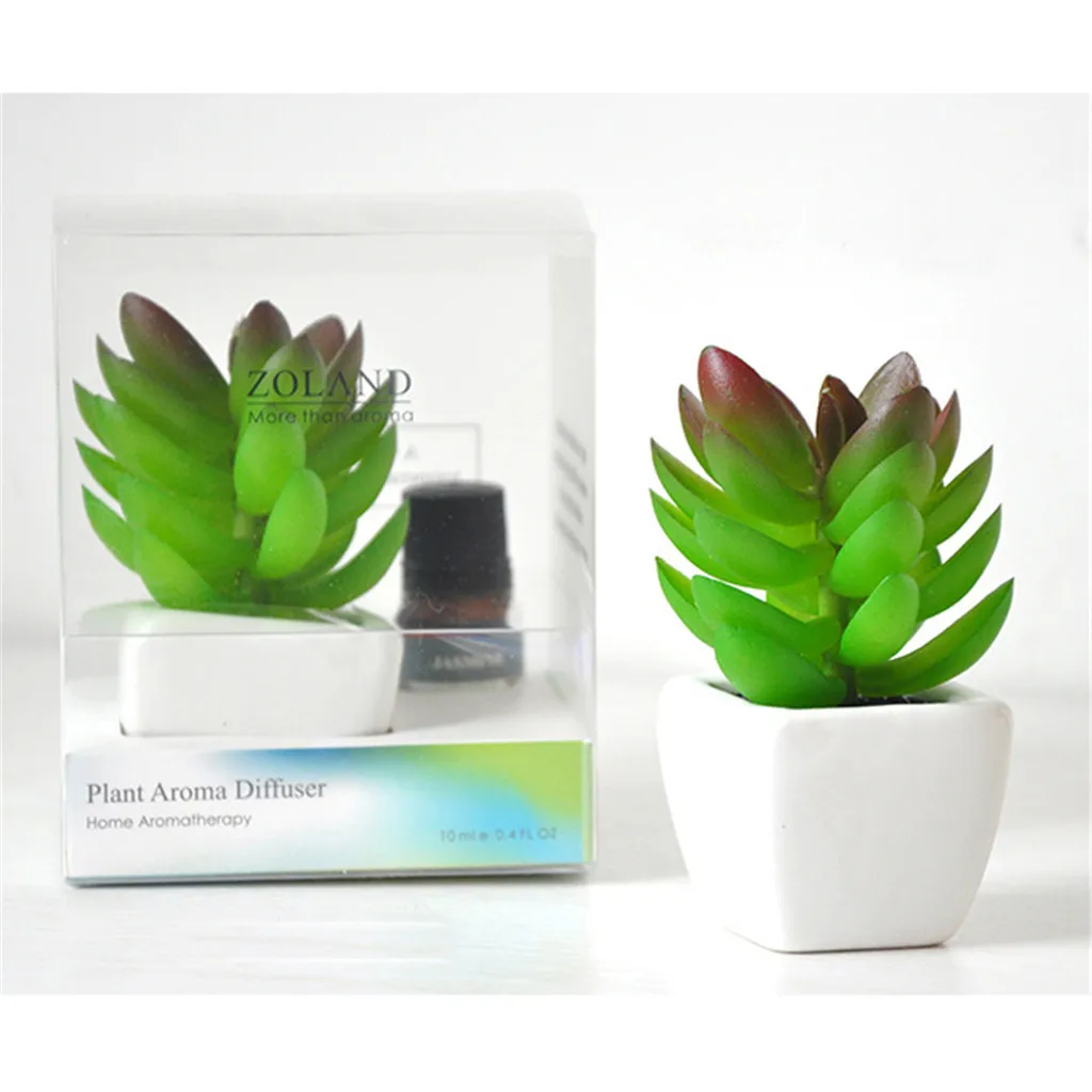 

Reed Oil Diffuser Artificial Bonsai Potted Vehicle Perfume with Scented Oil 10ML diffuseur de parfum maison profumo casa