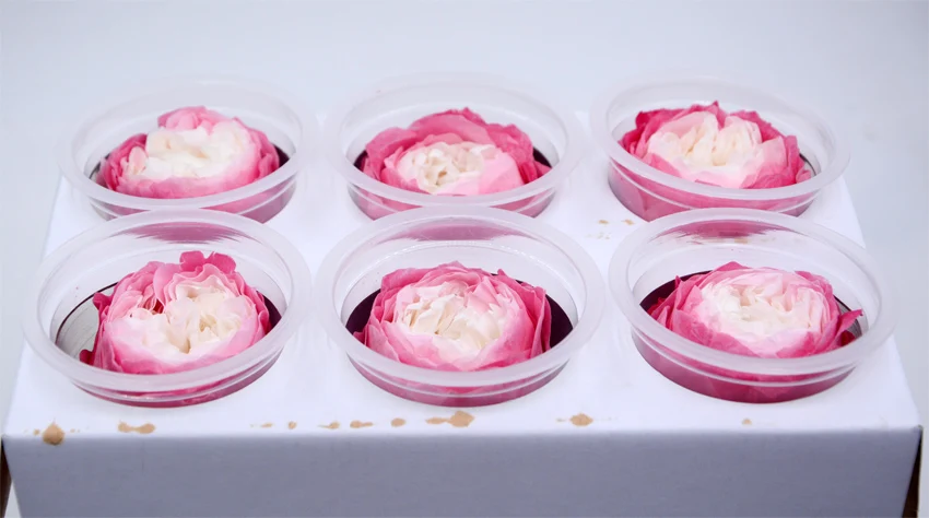 ms6p preserved austin rose flowers -16