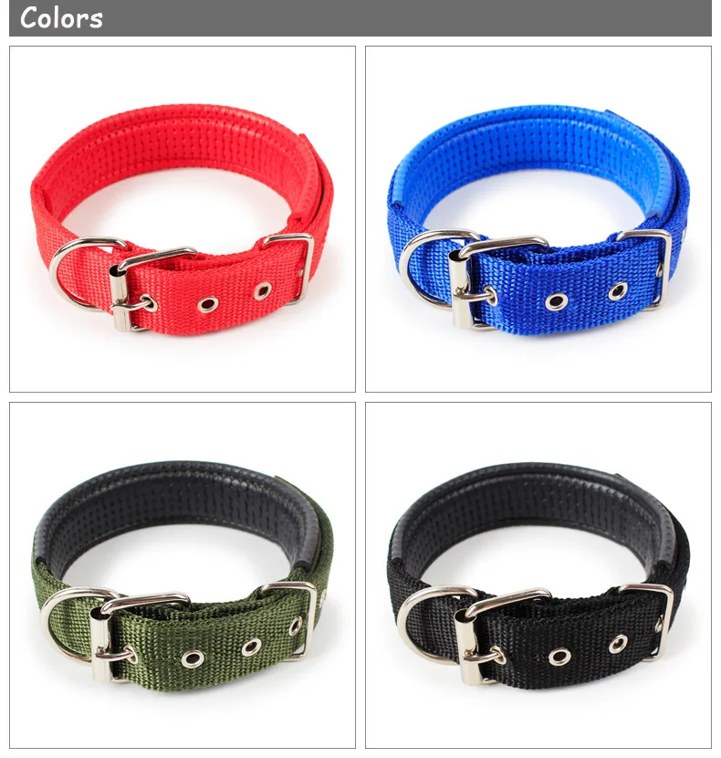 Nylon Medium Dog Collar (2)