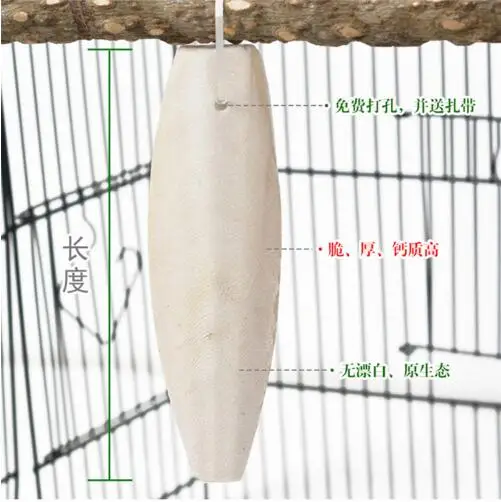 Супер каракатиковая кость, специальная шлифовка для попугая, чтобы дезинфицировать и восполнять кость каракатиков, тигровые попугаи