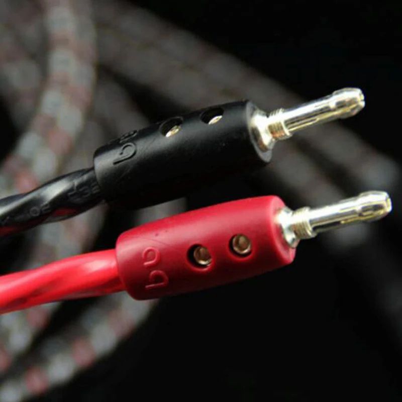 Speaker cable  (1)