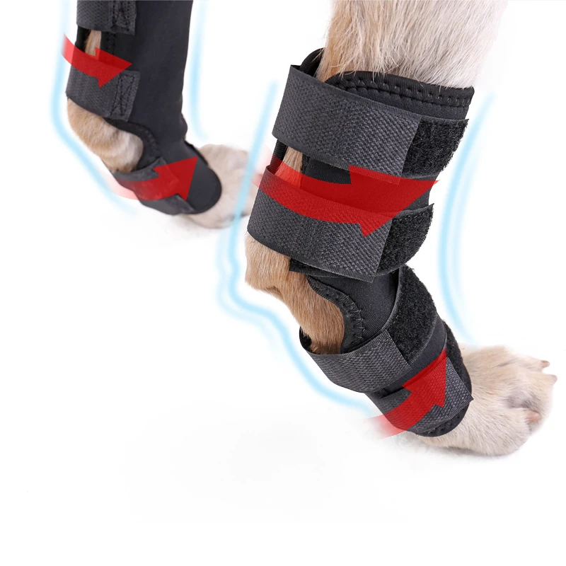 

New Pet Knee Pads Dog Support Brace for Hind Leg Hock Joint Wrap ACL/CCL Breathable Injury Recover Legs Dog Protector Support