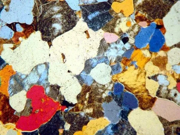 Бинокулярный поляризационный микроскоп принадлежности для амскопа